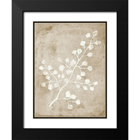 Rustic Floral II Black Modern Wood Framed Art Print with Double Matting by Quach, Anna