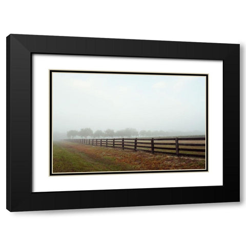 Humid Days Black Modern Wood Framed Art Print with Double Matting by Wilson, Kali