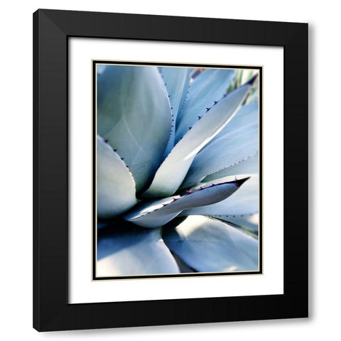 Giant Succulent I Black Modern Wood Framed Art Print with Double Matting by Wilson, Kali