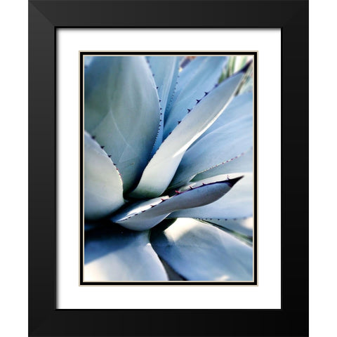 Giant Succulent I Black Modern Wood Framed Art Print with Double Matting by Wilson, Kali