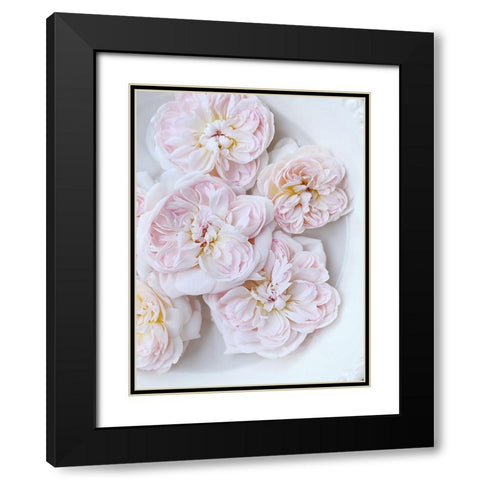 Pink Floating Floral Black Modern Wood Framed Art Print with Double Matting by Gardner, Sarah