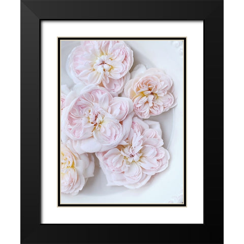 Pink Floating Floral Black Modern Wood Framed Art Print with Double Matting by Gardner, Sarah