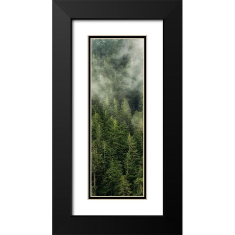 Smoky Forest Panel II Black Modern Wood Framed Art Print with Double Matting by Amos, Andy