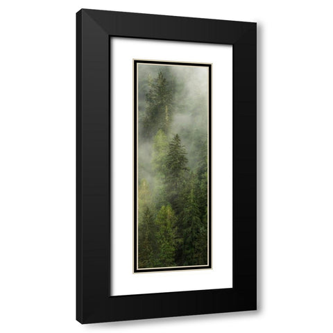 Smoky Forest Panel I Black Modern Wood Framed Art Print with Double Matting by Amos, Andy