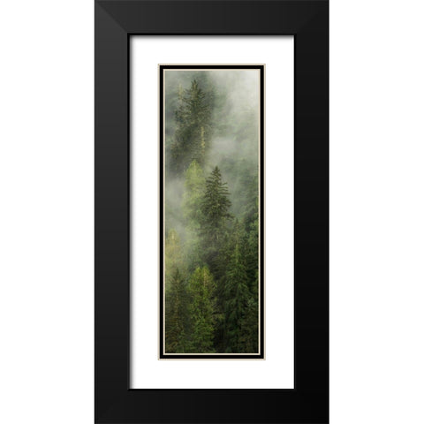 Smoky Forest Panel I Black Modern Wood Framed Art Print with Double Matting by Amos, Andy