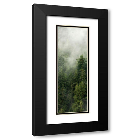 Smoky Forest Panel III Black Modern Wood Framed Art Print with Double Matting by Amos, Andy