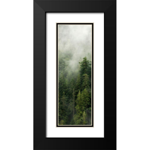 Smoky Forest Panel III Black Modern Wood Framed Art Print with Double Matting by Amos, Andy
