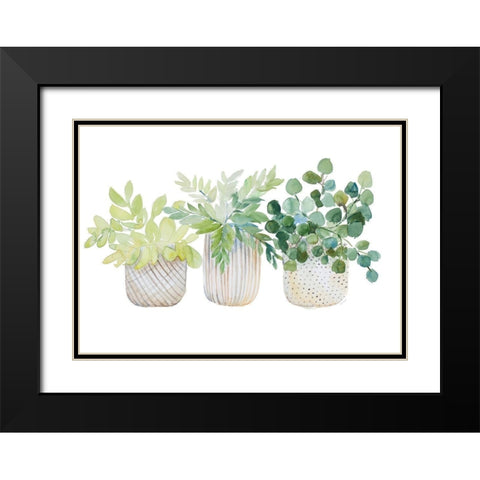 Three Potted Plants Black Modern Wood Framed Art Print with Double Matting by Loreth, Lanie