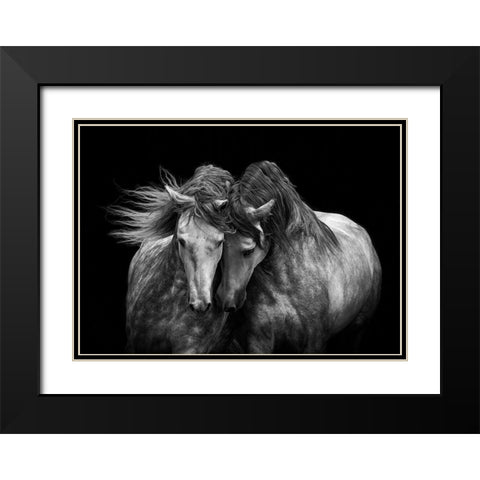 Horses in Love Black Modern Wood Framed Art Print with Double Matting by Walker, Carol