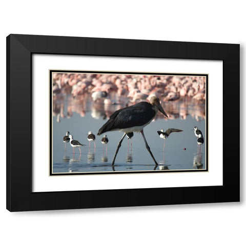 Among the Flock I Black Modern Wood Framed Art Print with Double Matting by Walker, Carol