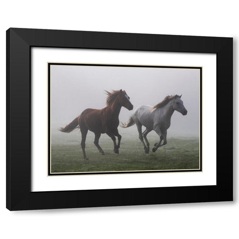 Running Wild Black Modern Wood Framed Art Print with Double Matting by Walker, Carol