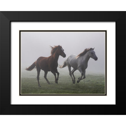 Running Wild Black Modern Wood Framed Art Print with Double Matting by Walker, Carol