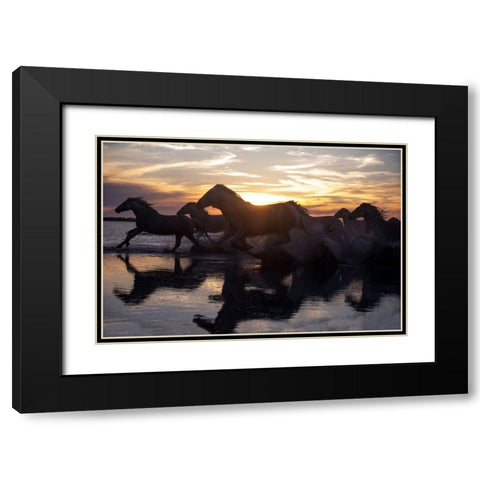 Coastal Horses Black Modern Wood Framed Art Print with Double Matting by Walker, Carol
