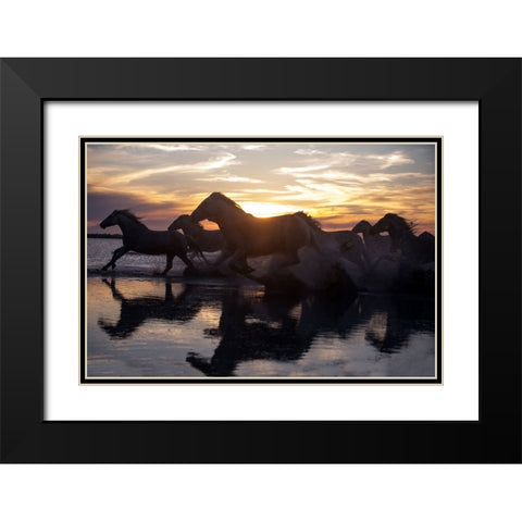 Coastal Horses Black Modern Wood Framed Art Print with Double Matting by Walker, Carol