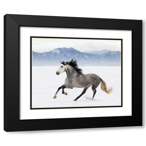 Winter Wonderland Black Modern Wood Framed Art Print with Double Matting by Walker, Carol