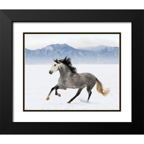 Winter Wonderland Black Modern Wood Framed Art Print with Double Matting by Walker, Carol