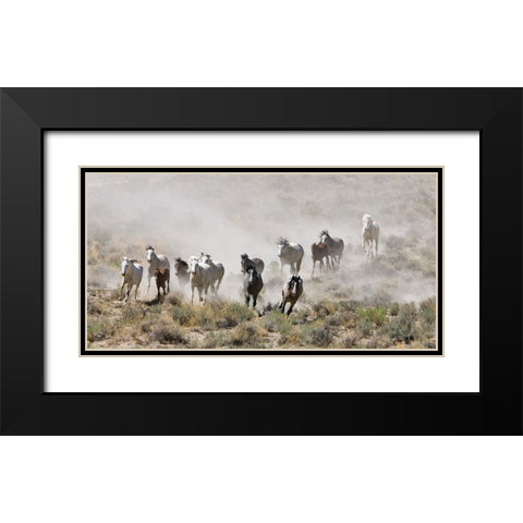 Horses Out West Black Modern Wood Framed Art Print with Double Matting by Walker, Carol