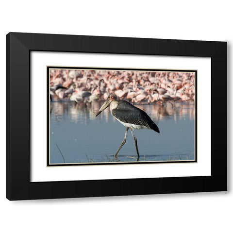 Among the Flock II Black Modern Wood Framed Art Print with Double Matting by Walker, Carol