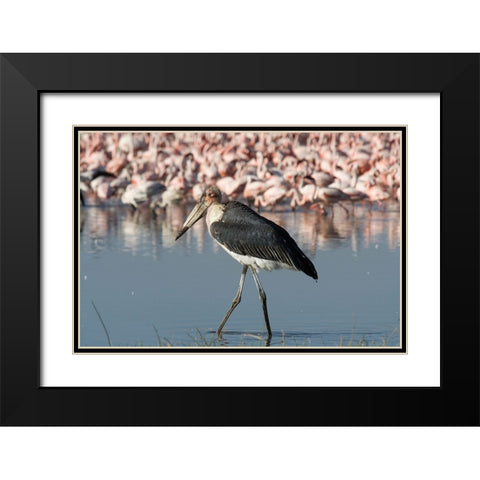 Among the Flock II Black Modern Wood Framed Art Print with Double Matting by Walker, Carol