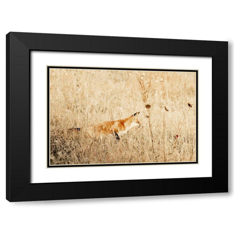 Hide and Hunt Black Modern Wood Framed Art Print with Double Matting by Mansfield, Kathy
