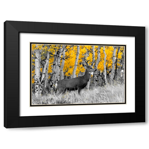 Buck Black Modern Wood Framed Art Print with Double Matting by Mansfield, Kathy