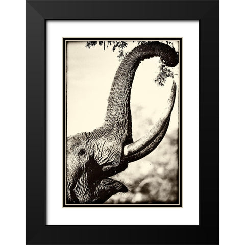 Reaching High Black Modern Wood Framed Art Print with Double Matting by Niassa Lion Project