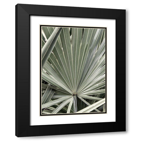 Organic Palm I Black Modern Wood Framed Art Print with Double Matting by Amos, Andy