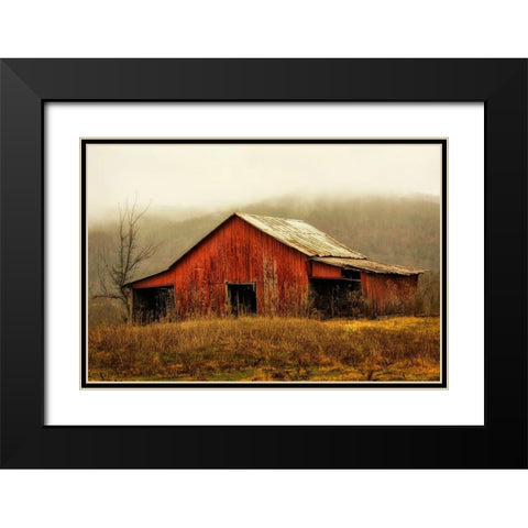 Skylight Barn in the Fog Black Modern Wood Framed Art Print with Double Matting by Amos, Andy
