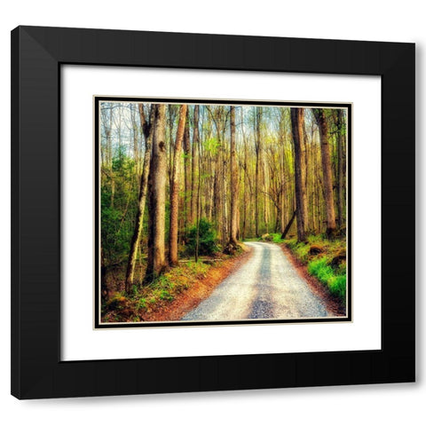 Wood Path Black Modern Wood Framed Art Print with Double Matting by Amos, Andy