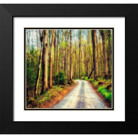 Wood Path Black Modern Wood Framed Art Print with Double Matting by Amos, Andy