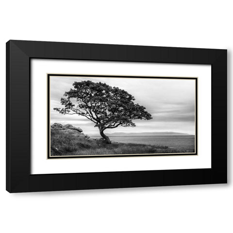 Bonsai Tree Black Modern Wood Framed Art Print with Double Matting by Amos, Andy