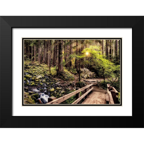 Nature Trails Black Modern Wood Framed Art Print with Double Matting by Amos, Andy