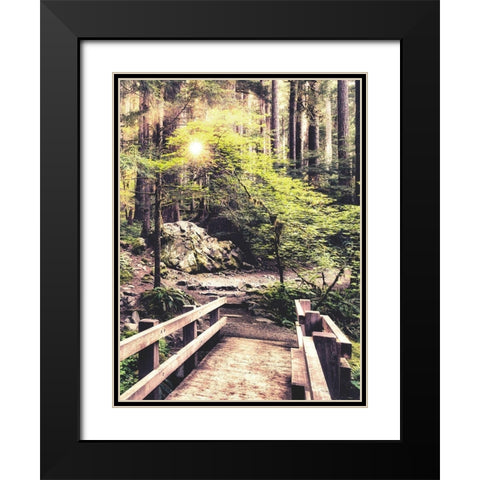 Sunlight on the Forest Path Black Modern Wood Framed Art Print with Double Matting by Amos, Andy
