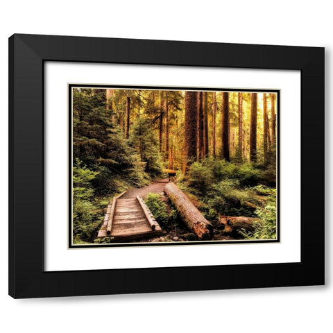 Nature Hiking Trail Black Modern Wood Framed Art Print with Double Matting by Amos, Andy
