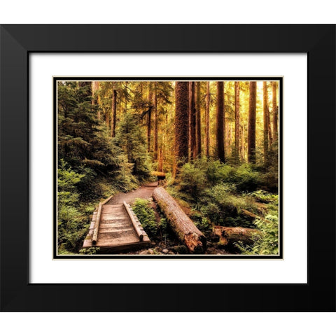 Nature Hiking Trail Black Modern Wood Framed Art Print with Double Matting by Amos, Andy