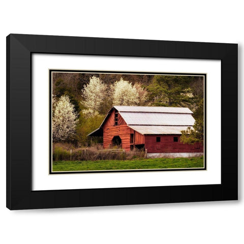 Skylight Red Barn Black Modern Wood Framed Art Print with Double Matting by Amos, Andy