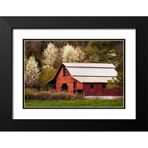 Skylight Red Barn Black Modern Wood Framed Art Print with Double Matting by Amos, Andy