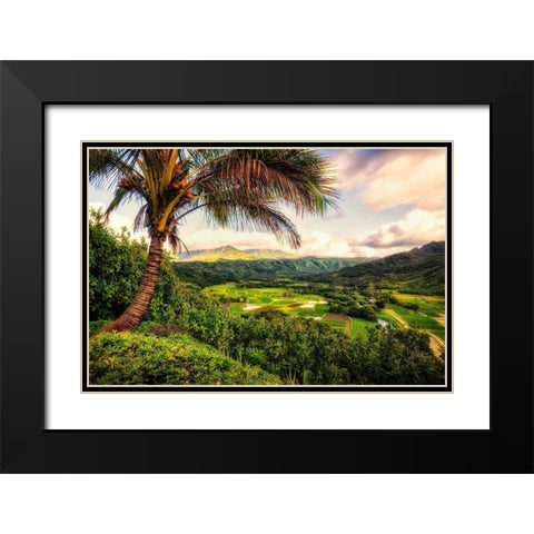 Morning in Paradise Black Modern Wood Framed Art Print with Double Matting by Amos, Andy