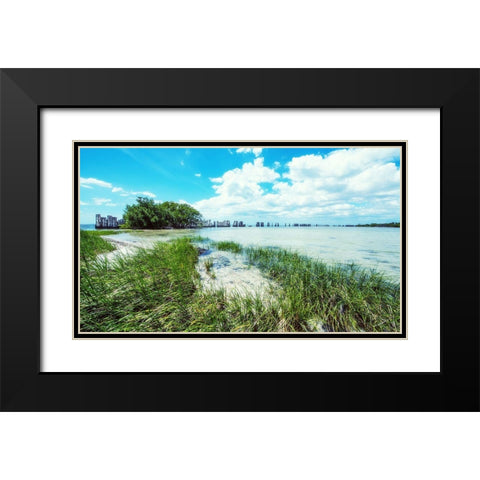 Tropical Coastline Black Modern Wood Framed Art Print with Double Matting by Bill Carson Photography