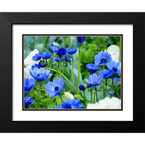 Vibrant Blue Hues Black Modern Wood Framed Art Print with Double Matting by Peck, Gail
