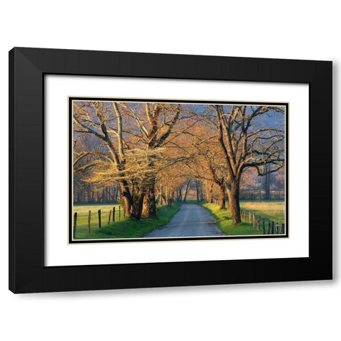 Sunset Path Black Modern Wood Framed Art Print with Double Matting by Jimmyz