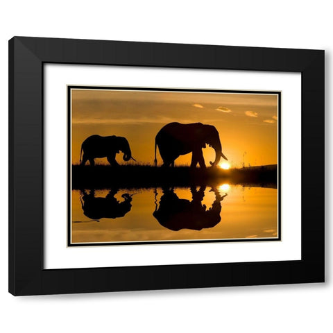 Elephants at Sundown Black Modern Wood Framed Art Print with Double Matting by Jimmyz