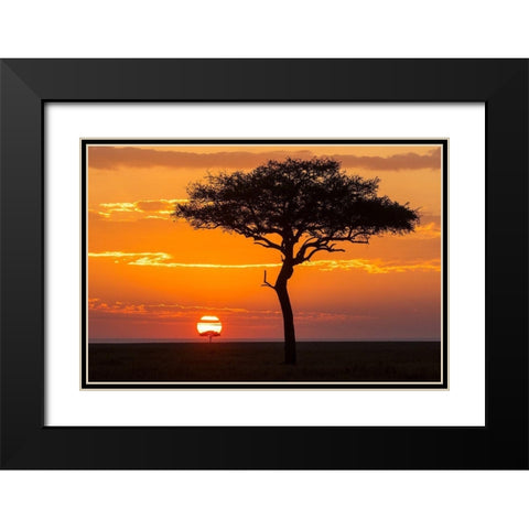 African Sunset II Black Modern Wood Framed Art Print with Double Matting by Jimmyz