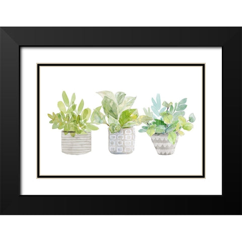 Decorative Plant Trio II Black Modern Wood Framed Art Print with Double Matting by Loreth, Lanie