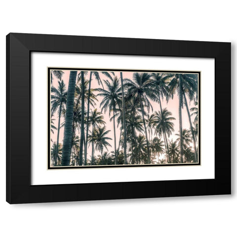 Palms View on Pink Sky I Black Modern Wood Framed Art Print with Double Matting by Amos, Andy