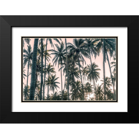 Palms View on Pink Sky I Black Modern Wood Framed Art Print with Double Matting by Amos, Andy