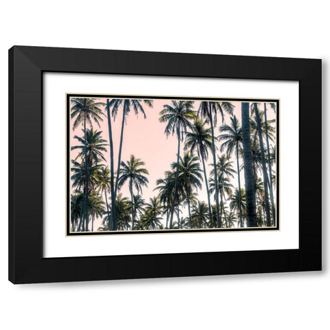 Palms View on Pink Sky II Black Modern Wood Framed Art Print with Double Matting by Amos, Andy