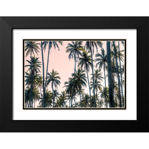 Palms View on Pink Sky II Black Modern Wood Framed Art Print with Double Matting by Amos, Andy