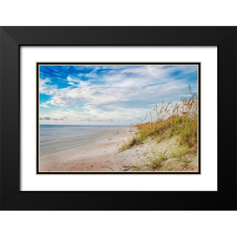 Afternoon Breeze Black Modern Wood Framed Art Print with Double Matting by Amos, Andy