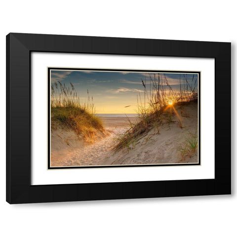 Coastal Dunes Black Modern Wood Framed Art Print with Double Matting by Amos, Andy